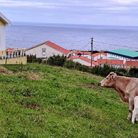 Semesterbostad Casa Da Maissa Ponta Delgada (Flores)