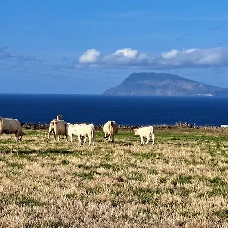 Casa Da Maissa * Ponta Delgada (Flores)