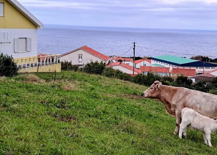 Casa vacanze Casa Da Maissa Ponta Delgada (Flores)
