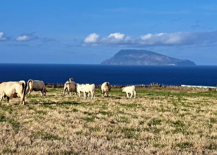 Casa Da Maissa * Ponta Delgada (Flores)